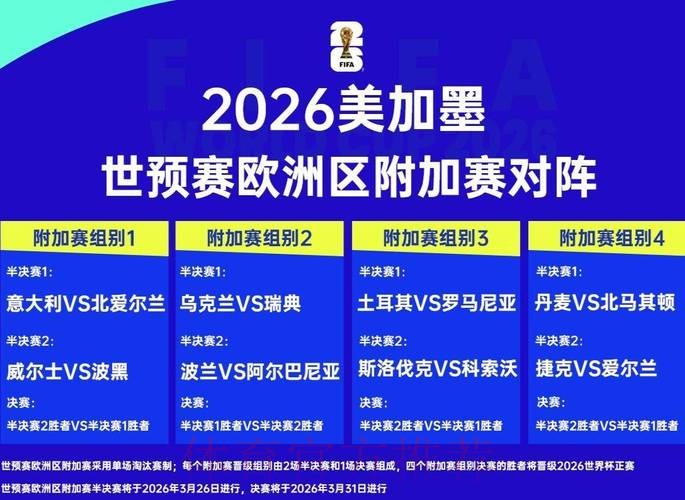 全面解析2026世界杯赛事投注平台